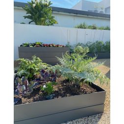 Rectangle Potager - 2500x900 mm