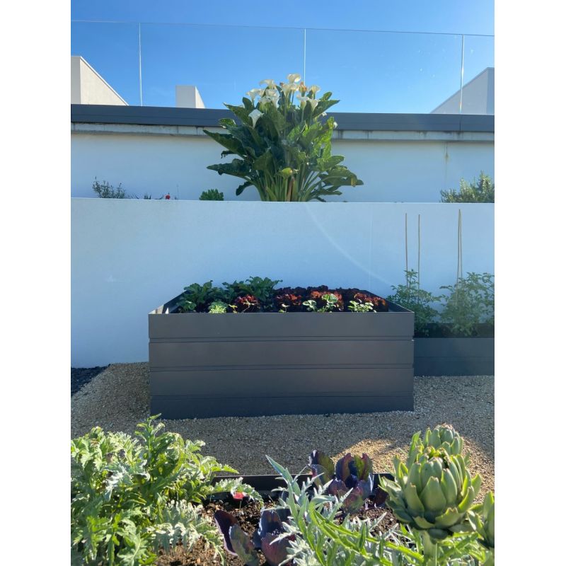 Rectangle Potager - 2500x900 mm